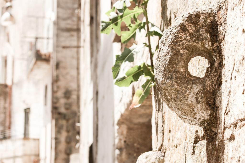 Willa A Casa Di Rosa Matera Pokój zdjęcie
